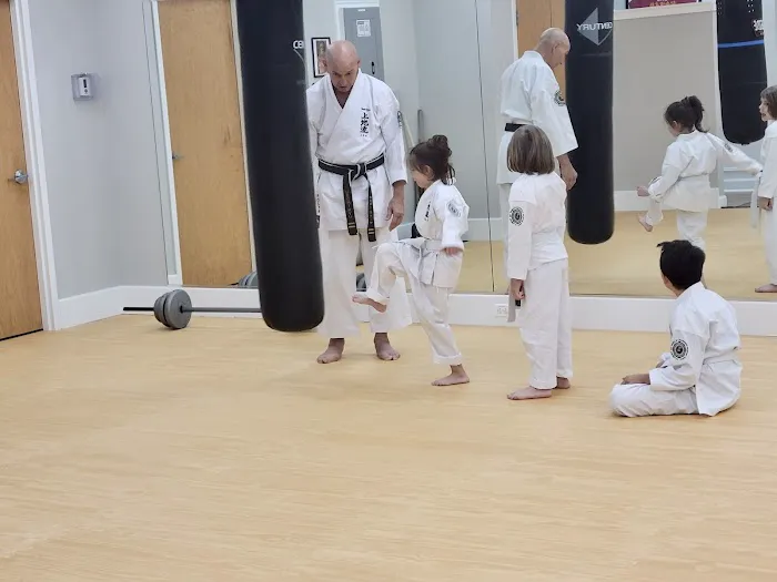 Okinawa Karate and Cultural Center Picture 1