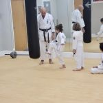 Okinawa Karate and Cultural Center