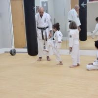 Okinawa Karate and Cultural Center ico