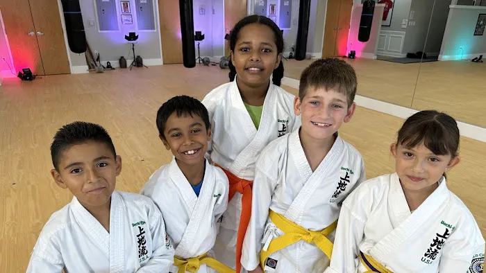 Okinawa Karate and Cultural Center Picture 2