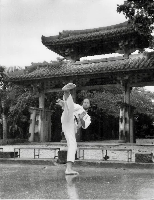 Okinawa Karate and Cultural Center Picture 4