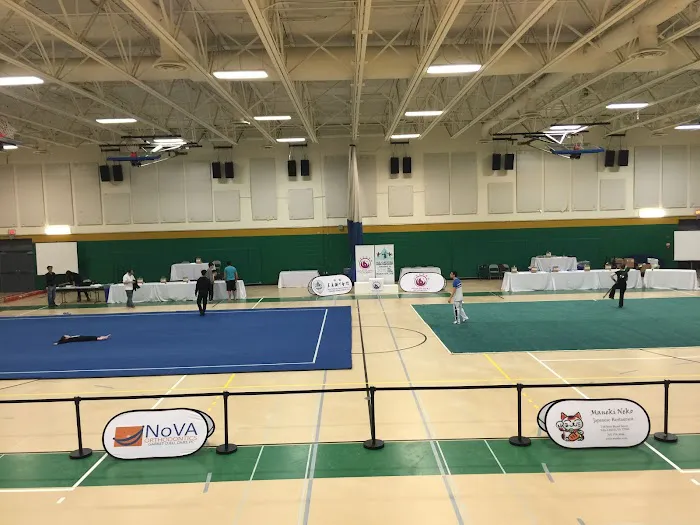 Northern Virginia Wushu Academy Picture 1