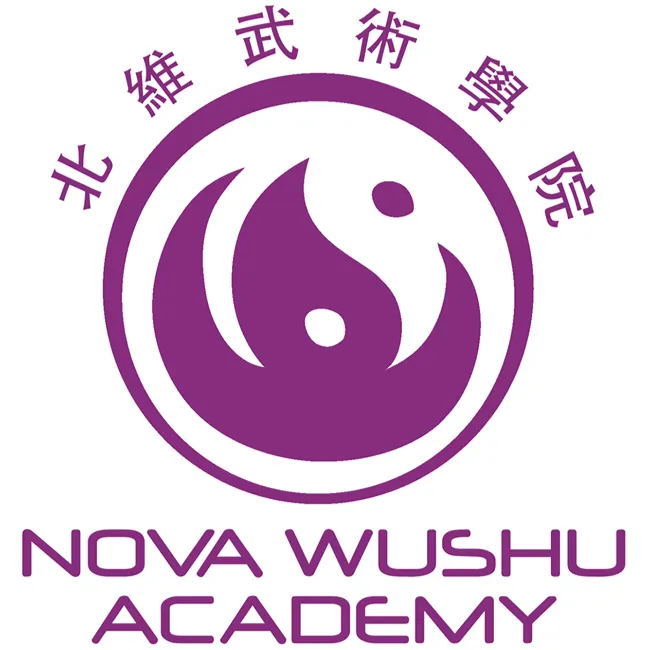 Northern Virginia Wushu Academy Picture 4