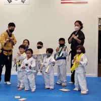 Kyung hee logos martial arts ico