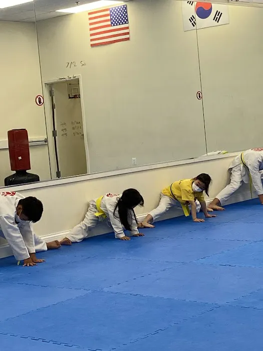 Kyung hee logos martial arts Picture 7