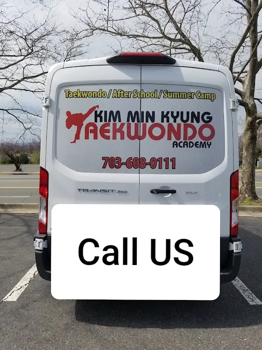 Kim Min Kyung Taekwondo Academy - KTA Picture 1