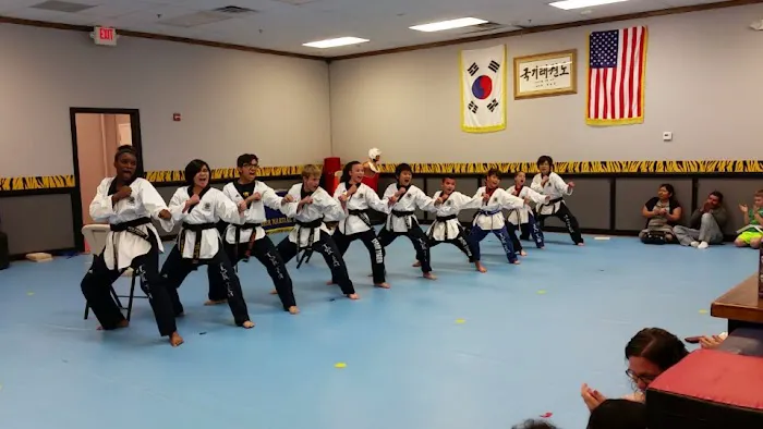 Kim Min Kyung Taekwondo Academy - KTA Picture 3