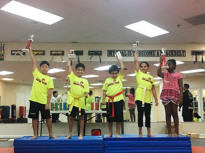 Taekwondo In Action - Centreville Picture 2