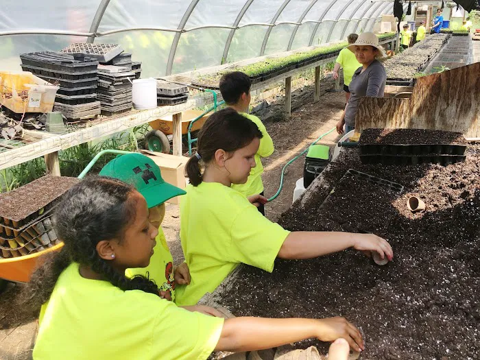 Taekwondo In Action - Centreville Picture 8