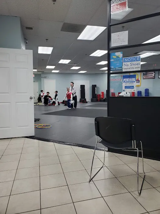 Taekwondo In Action - Centreville Picture 6