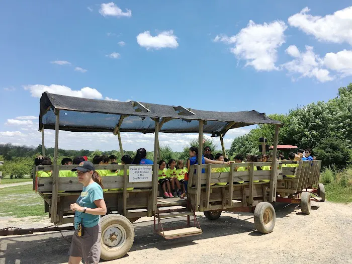 Taekwondo In Action - Centreville Picture 7