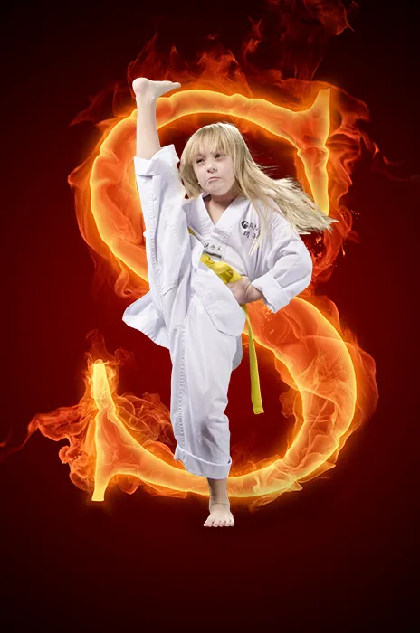 American Martial Arts Center, AMAC Picture 6