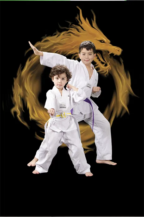 American Martial Arts Center, AMAC Picture 8