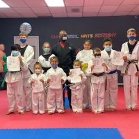 Chi Martial Arts Academy ico
