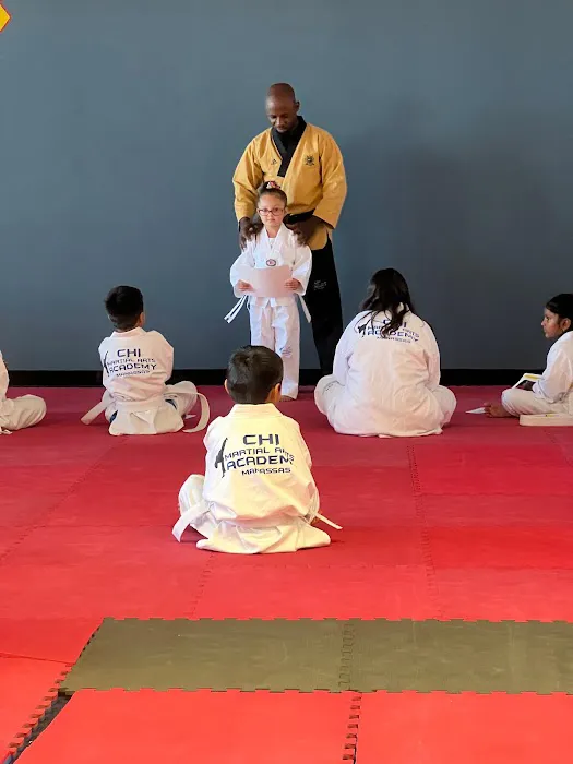 Chi Martial Arts Academy Picture 5