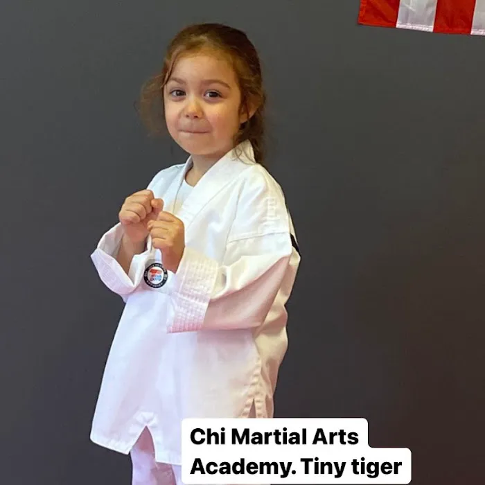 Chi Martial Arts Academy Picture 8