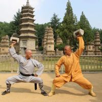 Shaolin Traditional Kung Fu ico