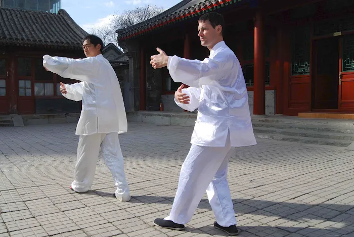 Shaolin Traditional Kung Fu Picture 3