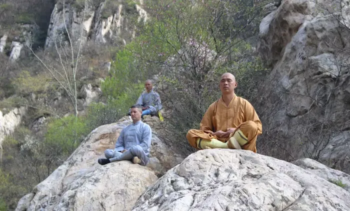 Shaolin Traditional Kung Fu Picture 8