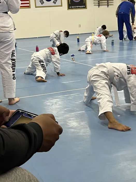 United Martial Arts Picture 1