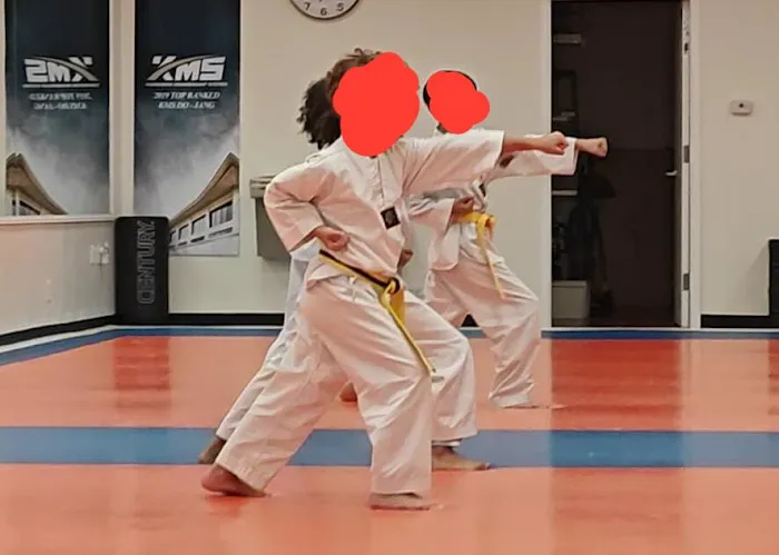 Kong's Taekwondo of Woodbridge Picture 9