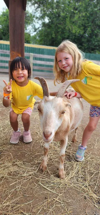 InCourage Martial Arts - Burke Picture 7