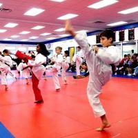 World Champion Taekwondo Woodbridge ico