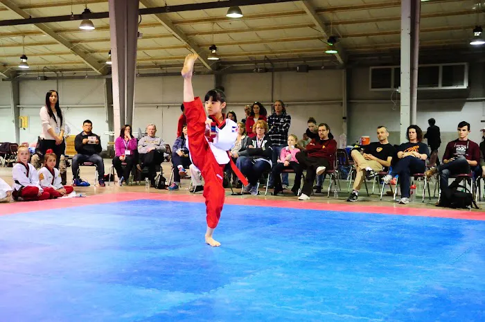 World Champion Taekwondo Woodbridge Picture 4