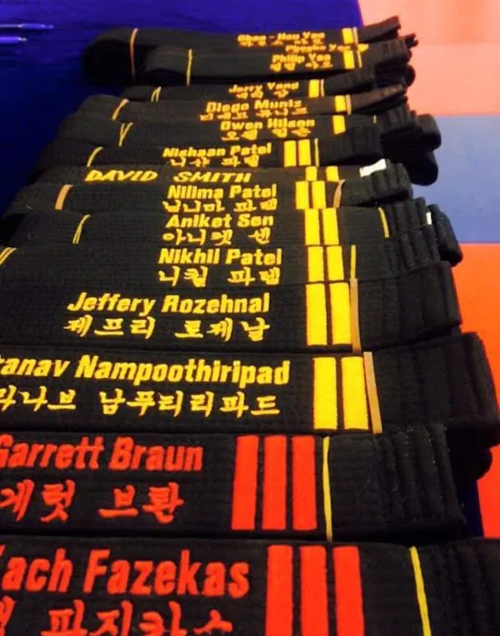 World Champion Taekwondo Woodbridge Picture 9