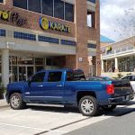 Blue Dragon Martial Arts - Seiryuu Karate-do LC