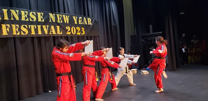 Yi Champions TaeKwonDo Academy Picture 1