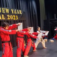 Yi Champions TaeKwonDo Academy ico