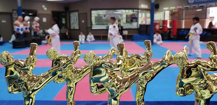 Yi Champions TaeKwonDo Academy Picture 6