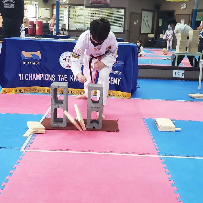 Yi Champions TaeKwonDo Academy Picture 5