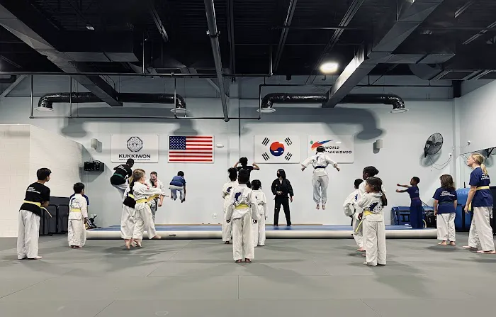 Sky Eagle TaeKwonDo Picture 1