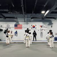 Sky Eagle TaeKwonDo ico