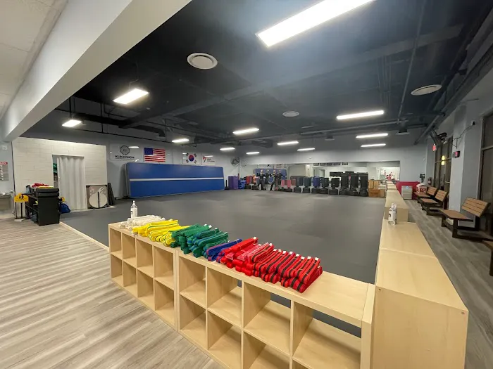 Sky Eagle TaeKwonDo Picture 2