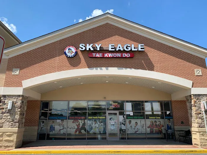Sky Eagle TaeKwonDo Picture 3