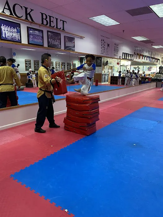 Alpha KT Martial Arts Picture 3