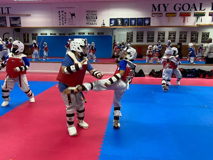 Alpha KT Martial Arts Picture 9