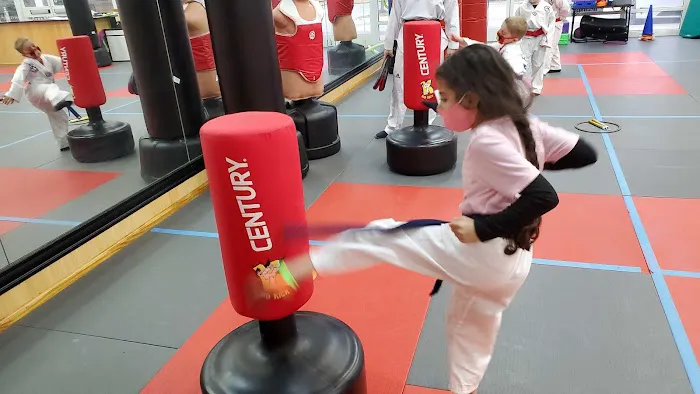 Life Champ Martial Arts of Dale City Picture 9