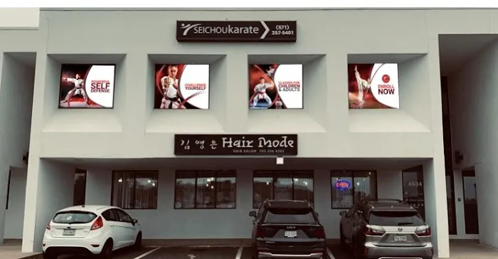 Seichou Karate Annandale Picture 5