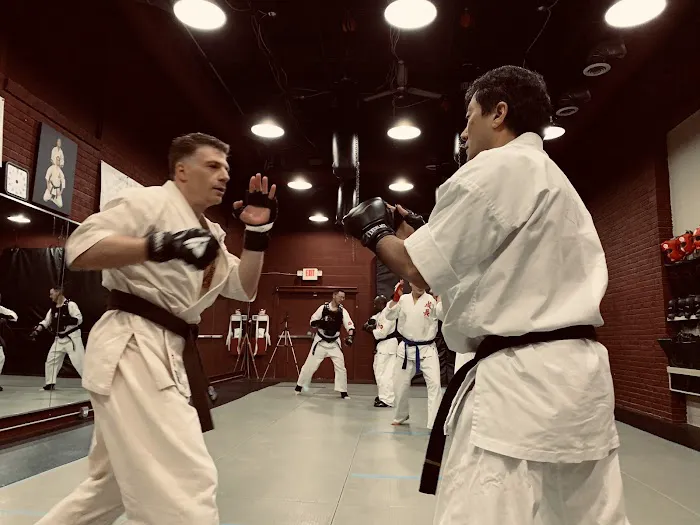 Seichou Karate Annandale Picture 9