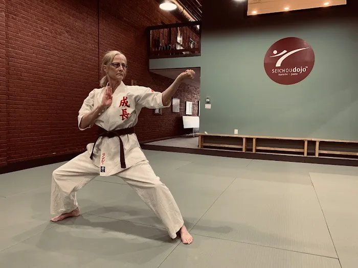 Seichou Karate Annandale Picture 7