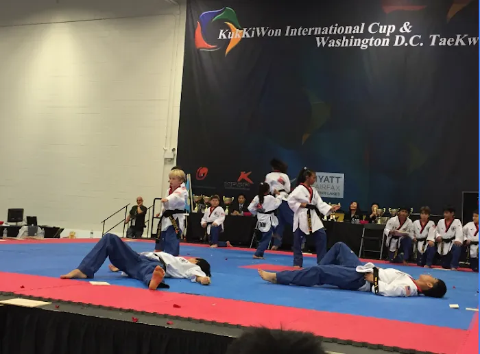 Dynamic kick martial arts of kings park west Picture 1