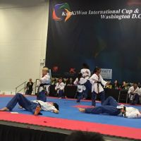 Dynamic kick martial arts of kings park west ico