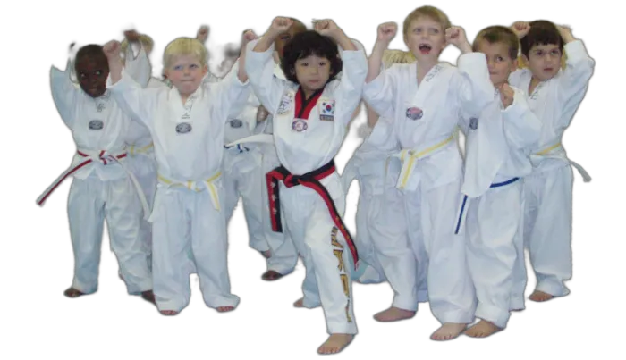 Dynamic kick martial arts of kings park west Picture 5