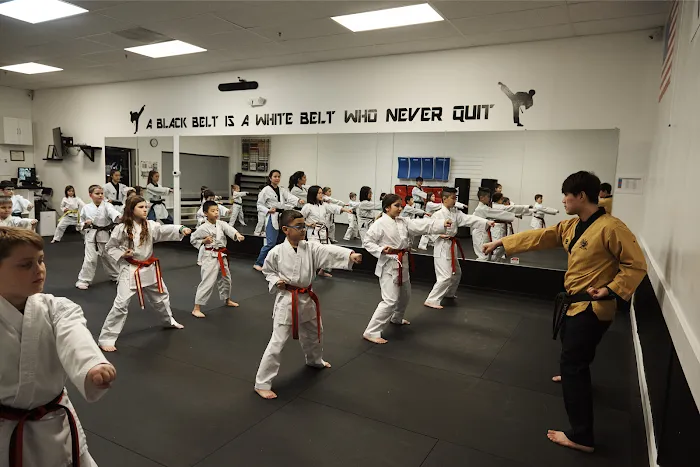 Himchari Martial Arts - Burke Commons Picture 2