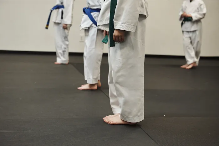 Himchari Martial Arts - Burke Commons Picture 4