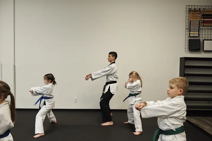 Himchari Martial Arts - Burke Commons Picture 5